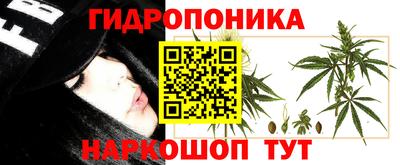 ALPHA-PVP Можга