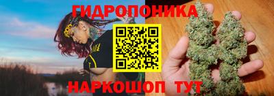 гидра Балахна