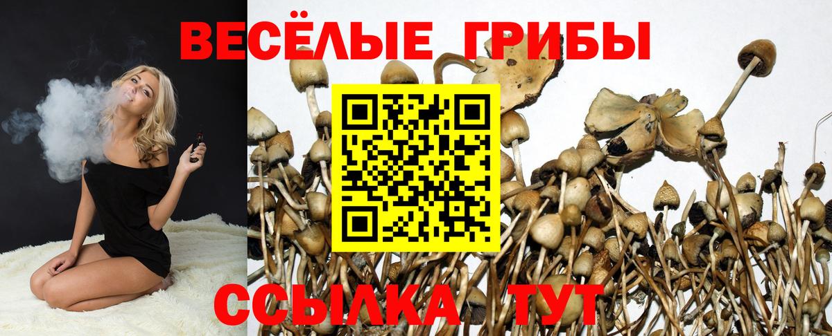 Псилоцибиновые грибы Cubensis  Жигулёвск  Галлюциногенные грибы прущие грибы 