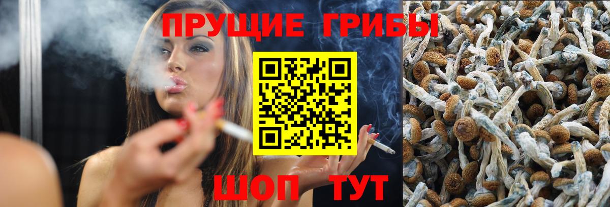 Галлюциногенные грибы мицелий  Вход с VPN  Жигулёвск  наркошоп  Галлюциногенные грибы Psilocybine cubensis 